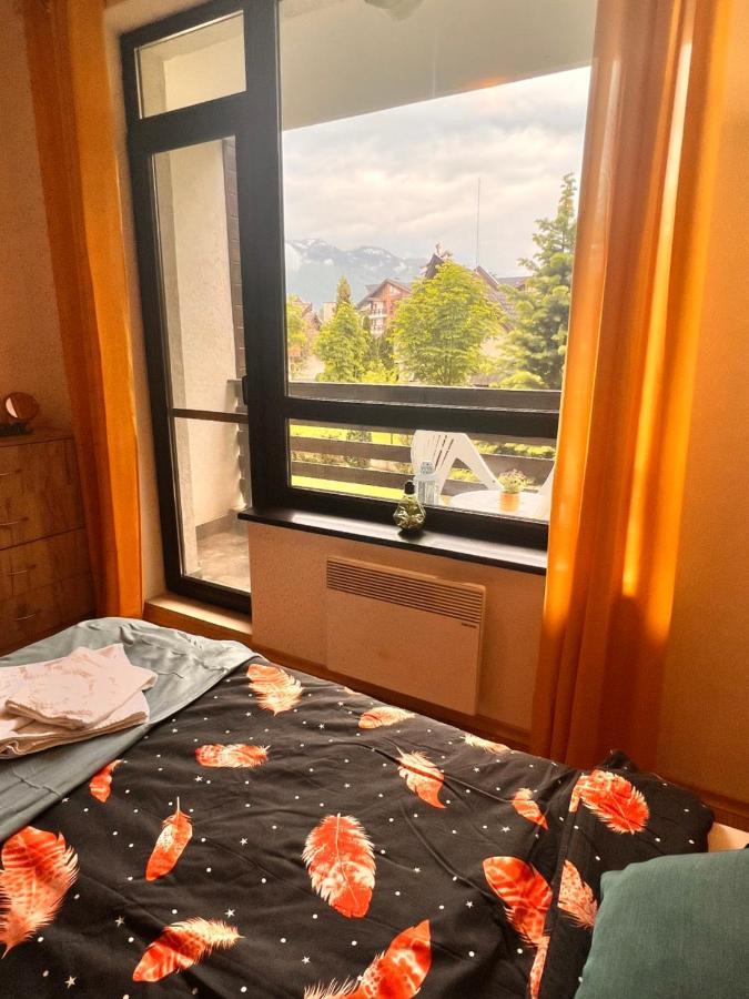 Cosy Studios With Mountain View Near Bansko Razlog Esterno foto